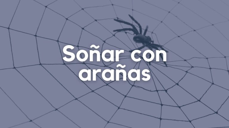 Soñar con arañas