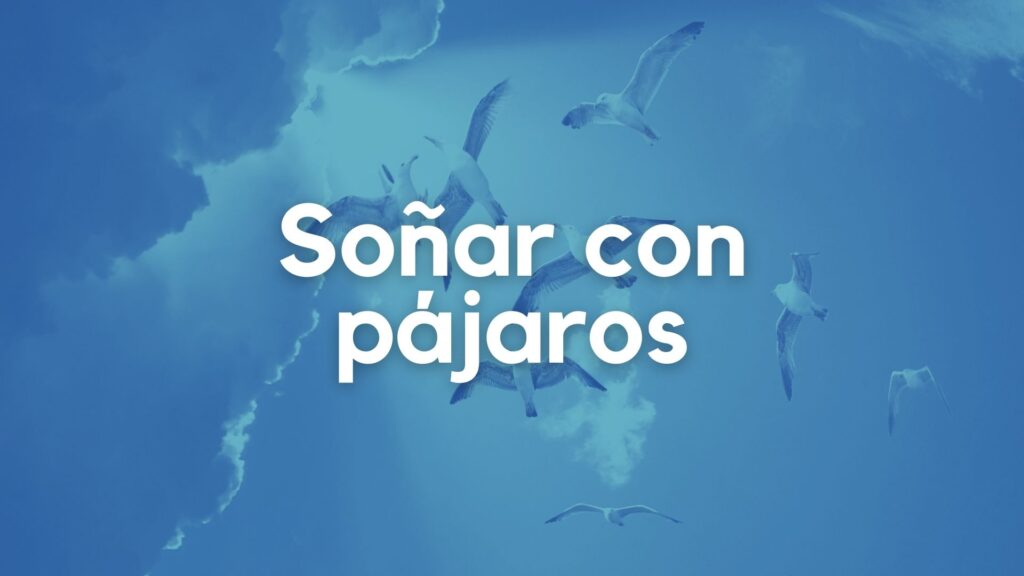 Soñar con pájaros