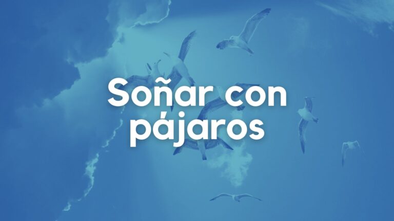 Soñar con pájaros