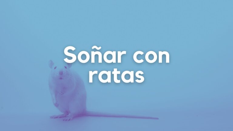 Soñar con ratas