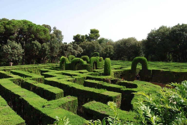 maze-dream-meaning