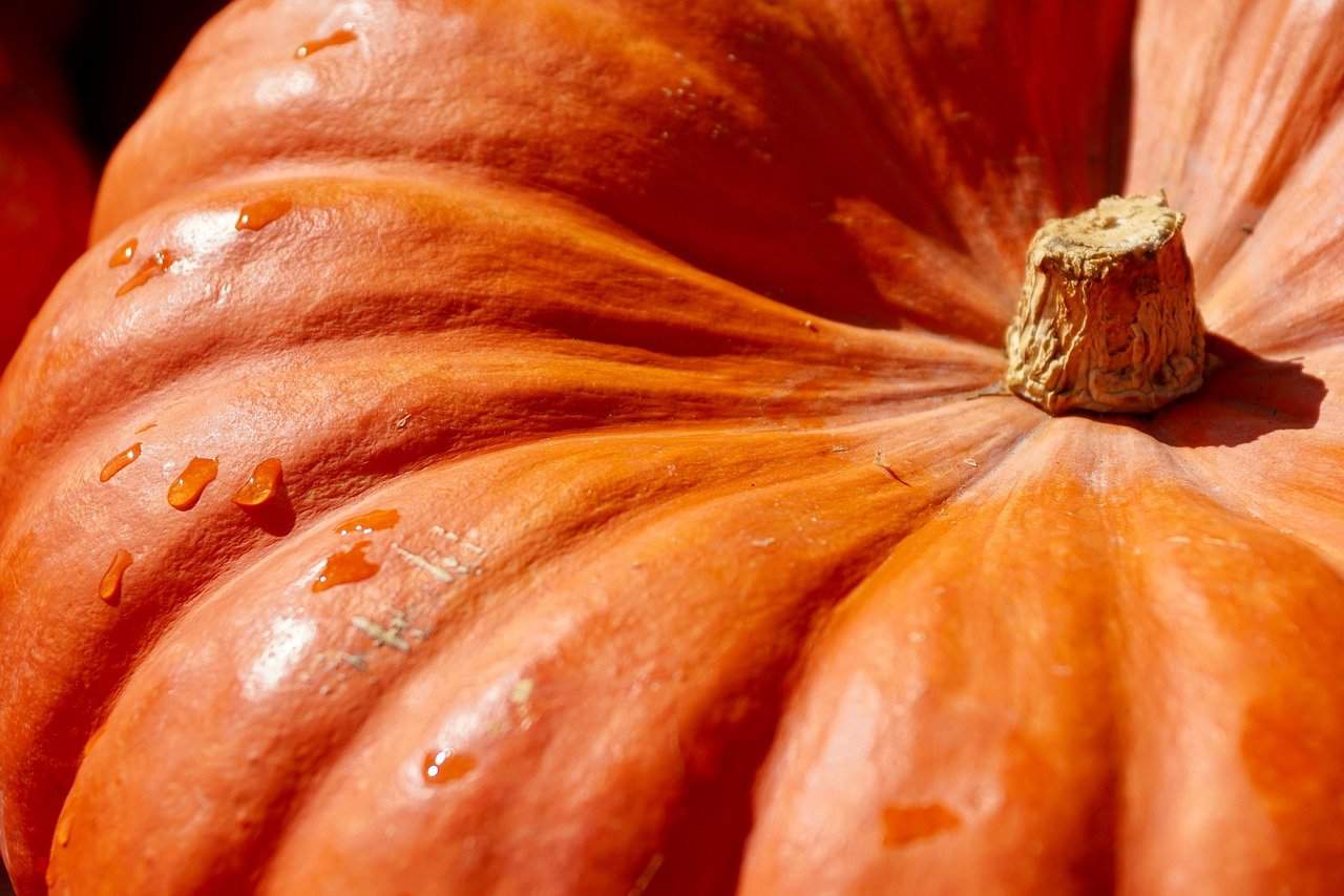 pumpkin-dream-meanings